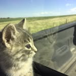 Evan Cohn - @beach_boy_37 - Instagram