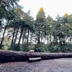 Evan Collette - @evancollette52 - Instagram