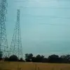 lizzard1012 - @evan.colletti3 - TikTok