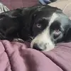 evanconroy97 - @evanconroy97 - TikTok