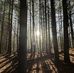 Evan Cooke - Facebook