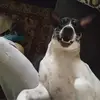 Evan Copeland - @evan.copeland7 - TikTok