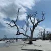 Evan ✞ - @evan.cordova - TikTok