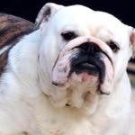 EVANCOUNTS - @evancounts2 - Instagram