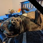 Evan Crockett - @evan.crockett.7 - Instagram