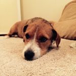 Evan Crockett - @evancrocky29 - Instagram