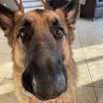 Evan Crowe - @evan_crowe_ - Instagram