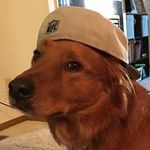 Evan Culver - @culver.evan - Instagram