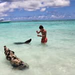 Evan Day - @evanday124 - Instagram