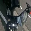 evandelay - @evandelay - TikTok