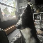 Evan DeMott - Facebook