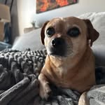 Evan Dempsey - @edemps99 - Instagram