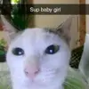 .-. - @evandenney698 - TikTok