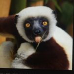 Evan Denney - @edenney120 - Instagram