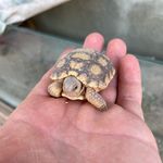 @evan_dennison_11 - Instagram