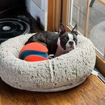 Evan Dennison - @evan_dennison1 - Instagram