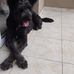 Evangelina Desimone - Facebook