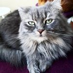 Evan dewey ingo Grauke - @evandeweyingo - Instagram