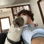 Evie - @evan.dias_ - Instagram
