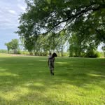 Evan dickens - @evan__dickens66 - Instagram