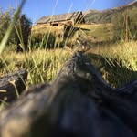 Evan Dillon - @evan.dillon_ - Instagram