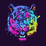 Evan Dobbs - @evan.dobbs - Instagram