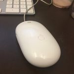 Evan dodson - @evansmousehouse - Instagram