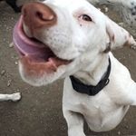 Evan Dodson - @dodson5299 - Instagram