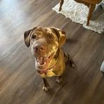 Evan Dotson - Facebook