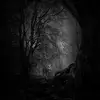 evandowd829 - @evandowd829 - TikTok
