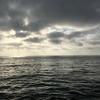Evan Downs - @evan.downs1 - TikTok