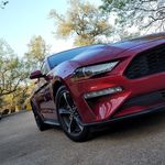 Evan Ducker - @evan.rose.568294 - Instagram