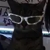 E - @evanisadumass - TikTok