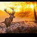 Evan Duncan - Facebook