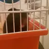 evandurham - @evandurham - TikTok