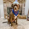 Evan Eckert739 - @user487228633932 - TikTok