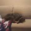 evaneckert99 - @evaneckert99 - TikTok
