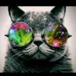 evanedge - @evanedge177 - Instagram