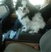 Elbert Evans - Facebook