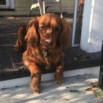 Evan Van Epps - @sweetloudog12 - Instagram