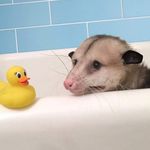 Evan Farrell - @evanjosephfarrell - Instagram