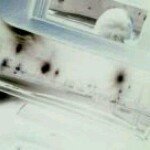 Evan Farrell - @pillowpants420 - Instagram