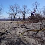 Evan D. Fineman - @evan_fineman - Instagram