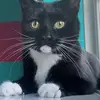 Evan Franklin - @evan.franklin5 - TikTok