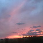 Evan Franklin - @evan__franklin - Instagram