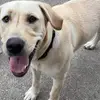 Evan.franks - @evan.franks89 - TikTok
