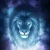 Evan - @evanfrench45 - TikTok