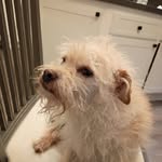 Evan Friedman - @evanfriedman82 - Instagram