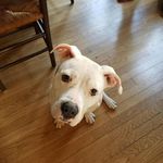 Evan Friedman - @ejf921 - Instagram