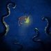 Evan Friedmann - Facebook